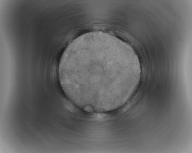 X0000115130379200911241450