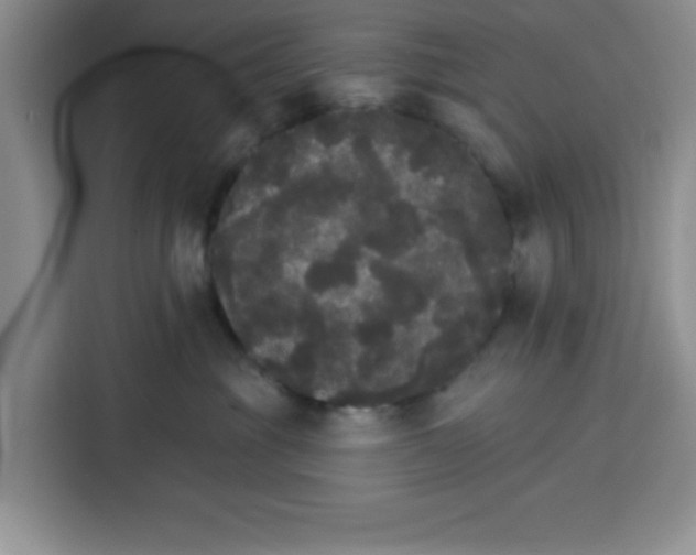 X0000115130381200911241450