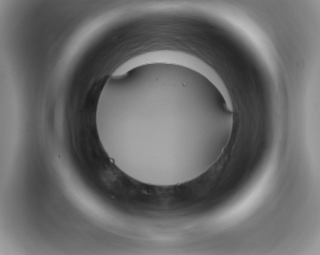 X0000115130382200911241450