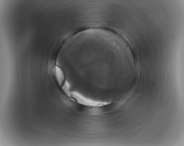 X0000115130383200911241450