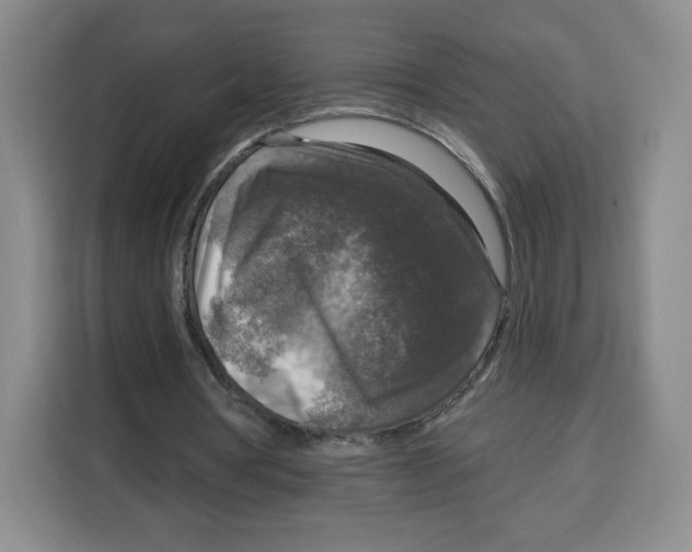 X0000115130386200911241450