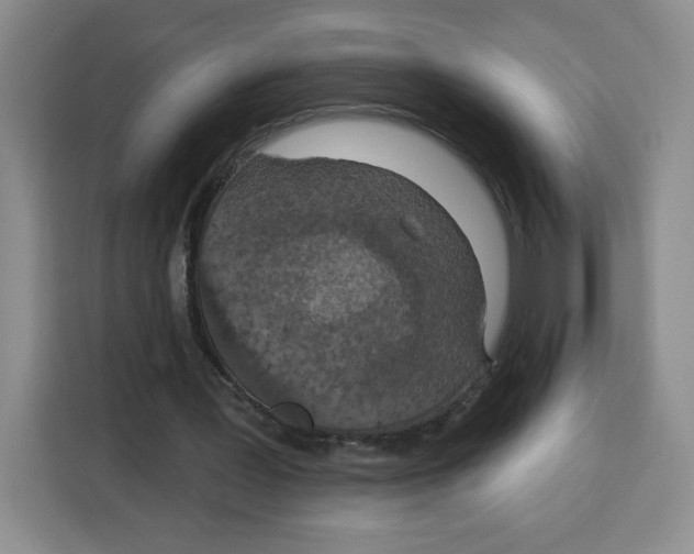 X0000115130387200911241450