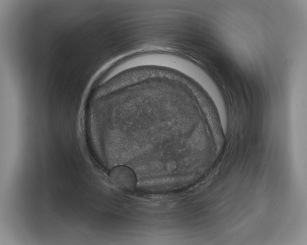 X0000115130388200911241450