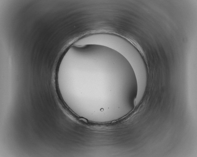 X0000115130389200911241450