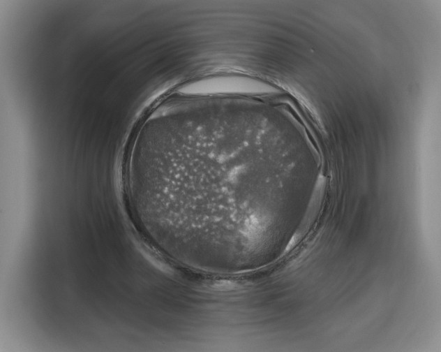 X0000115130390200911241450