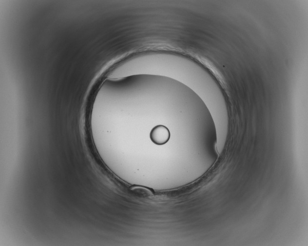 X0000115130391200911241450