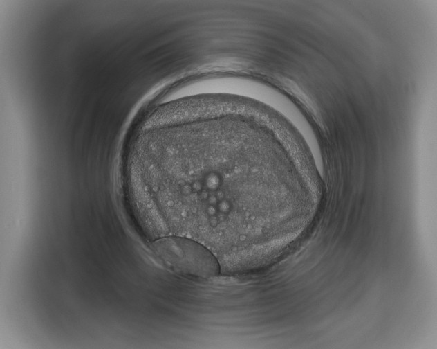 X0000115130392200911241450