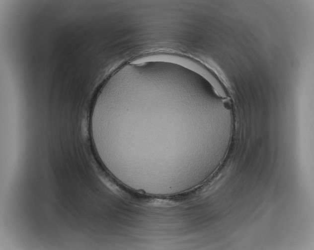 X0000115130393200911241450