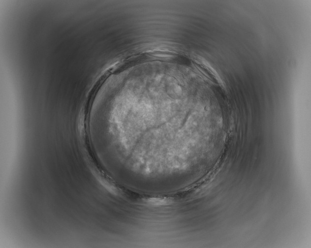 X0000115130394200911241450