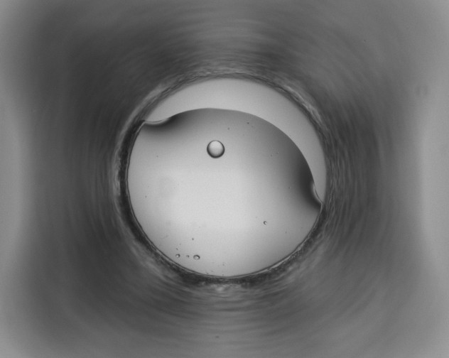 X0000115130395200911241450