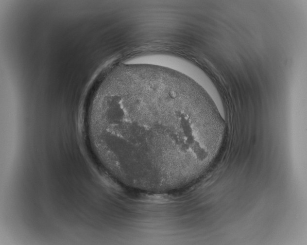X0000115130396200911241450
