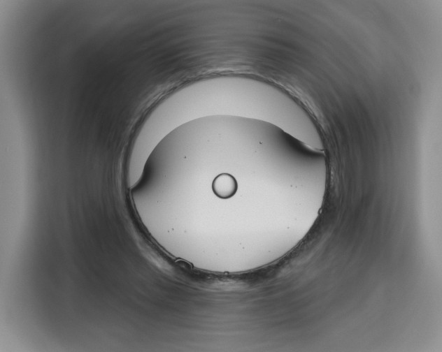X0000115130397200911241450