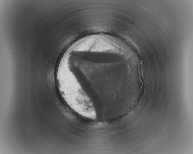X0000115130398200911241450