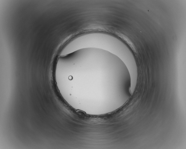 X0000115130399200911241450
