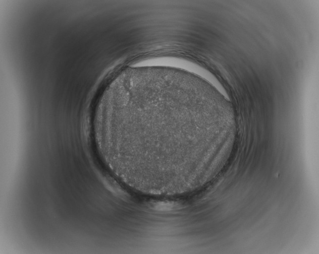 X0000115130400200911241450