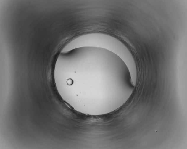 X0000115130403200911241450
