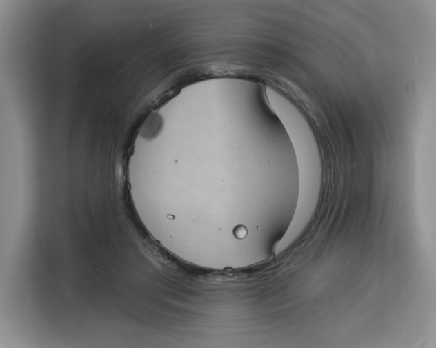 X0000115130405200911241450