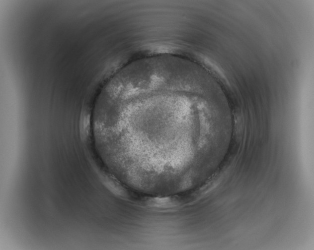 X0000115130406200911241450