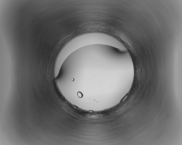 X0000115130407200911241450