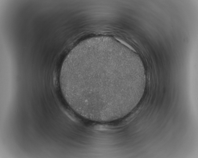 X0000115130408200911241450