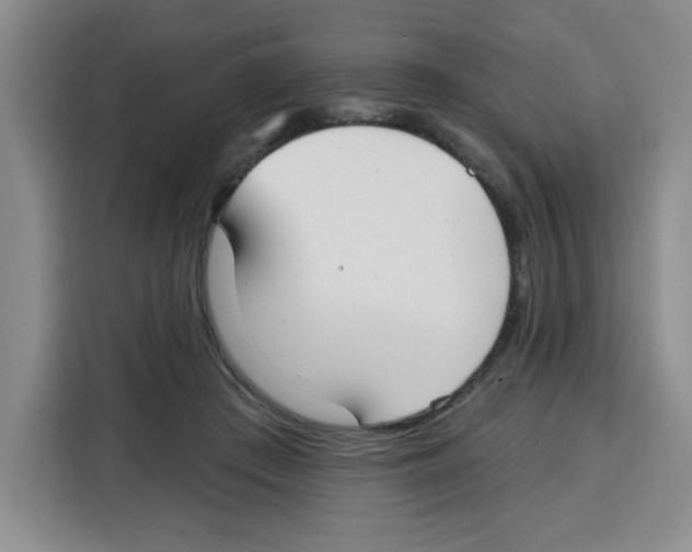 X0000115130409200911241450