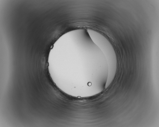 X0000115130411200911241450