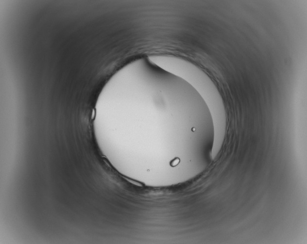 X0000115130415200911241449