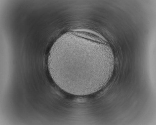 X0000115130416200911241449