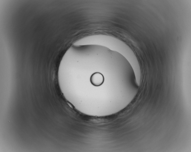 X0000115130417200911241449