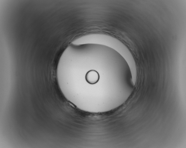 X0000115130419200911241449