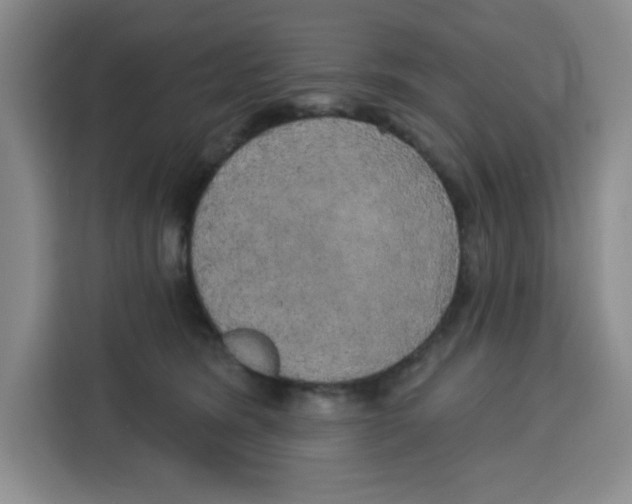 X0000115130420200911241449