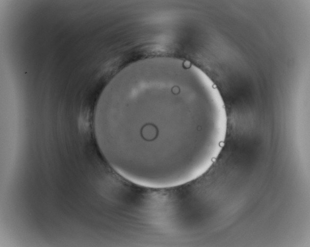 X0000115130423200911241449