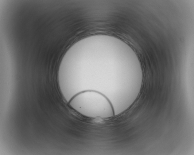 X0000115130425200911241449