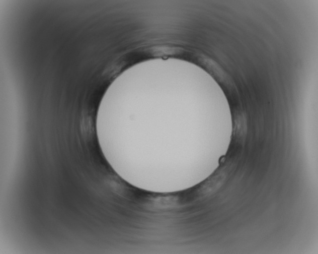 X0000115130426200911241449