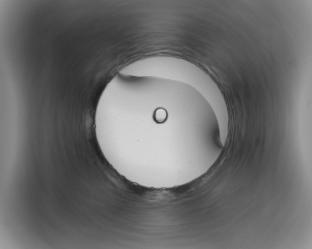 X0000115130427200911241449