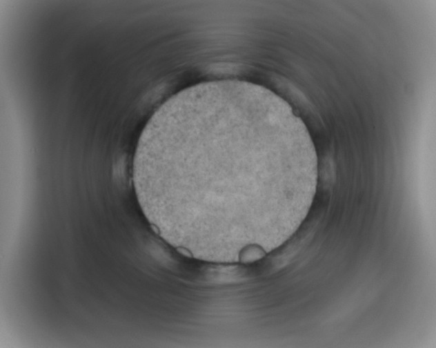 X0000115130428200911241449
