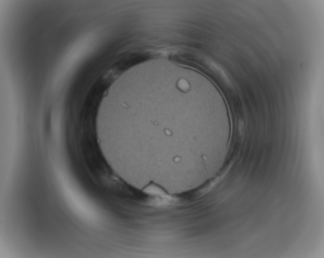 X0000115130429200911241449