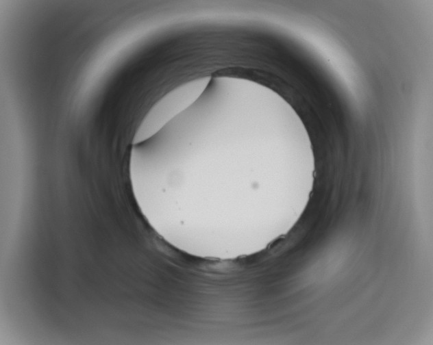 X0000115130431200911241449