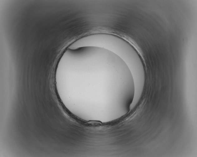 X0000115130433200911241449