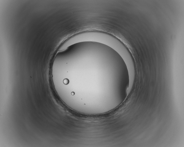 X0000115130434200911241449