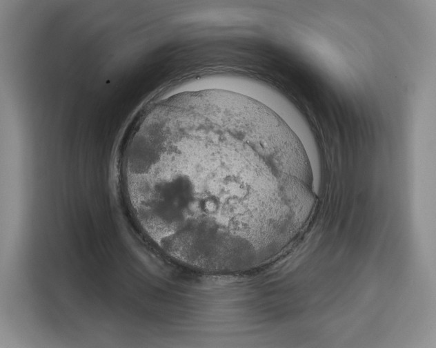 X0000115130435200911241449