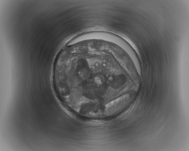 X0000115130437200911241449