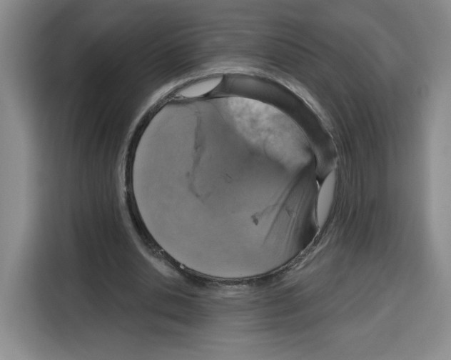 X0000115130438200911241449