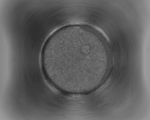 X0000115130439200911241449