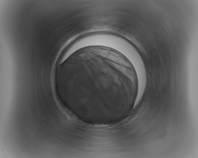X0000115130440200911241449