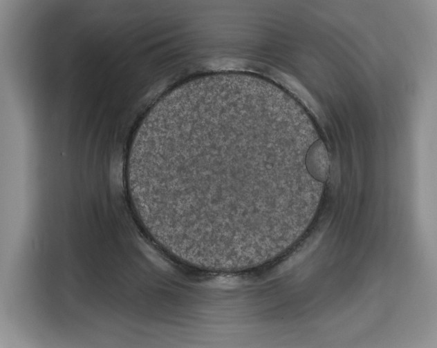 X0000115130441200911241449