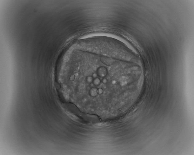 X0000115130442200911241449