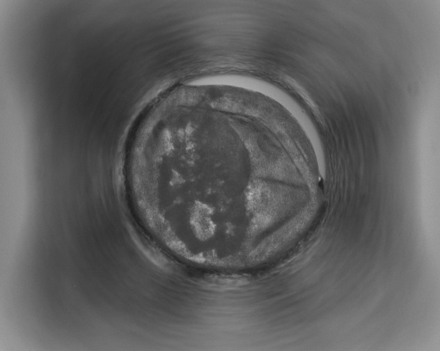 X0000115130443200911241449