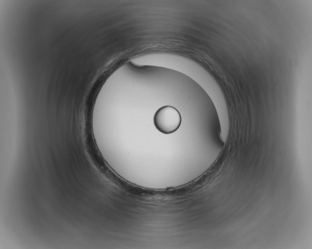 X0000115130444200911241449