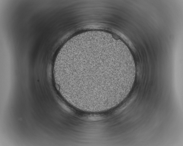 X0000115130445200911241449